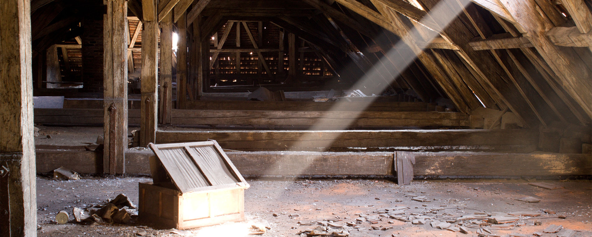 Crawl Space Cleaning – Out of Sight, Out of Mind? Think Again!